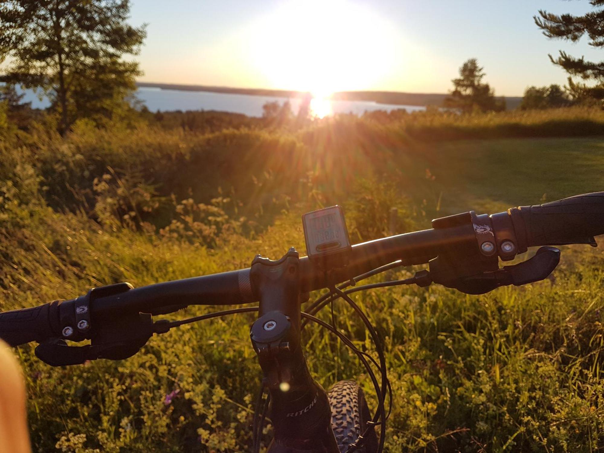 Rättvik Lustigsgarden Boutique Hotel المظهر الخارجي الصورة
